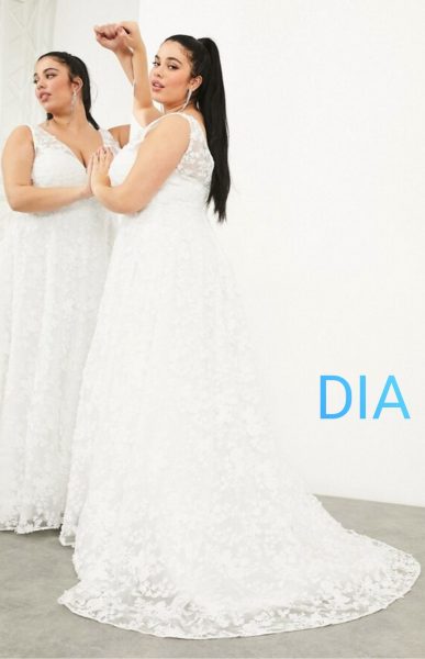 Dia 54-56