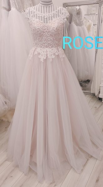 Rose 40